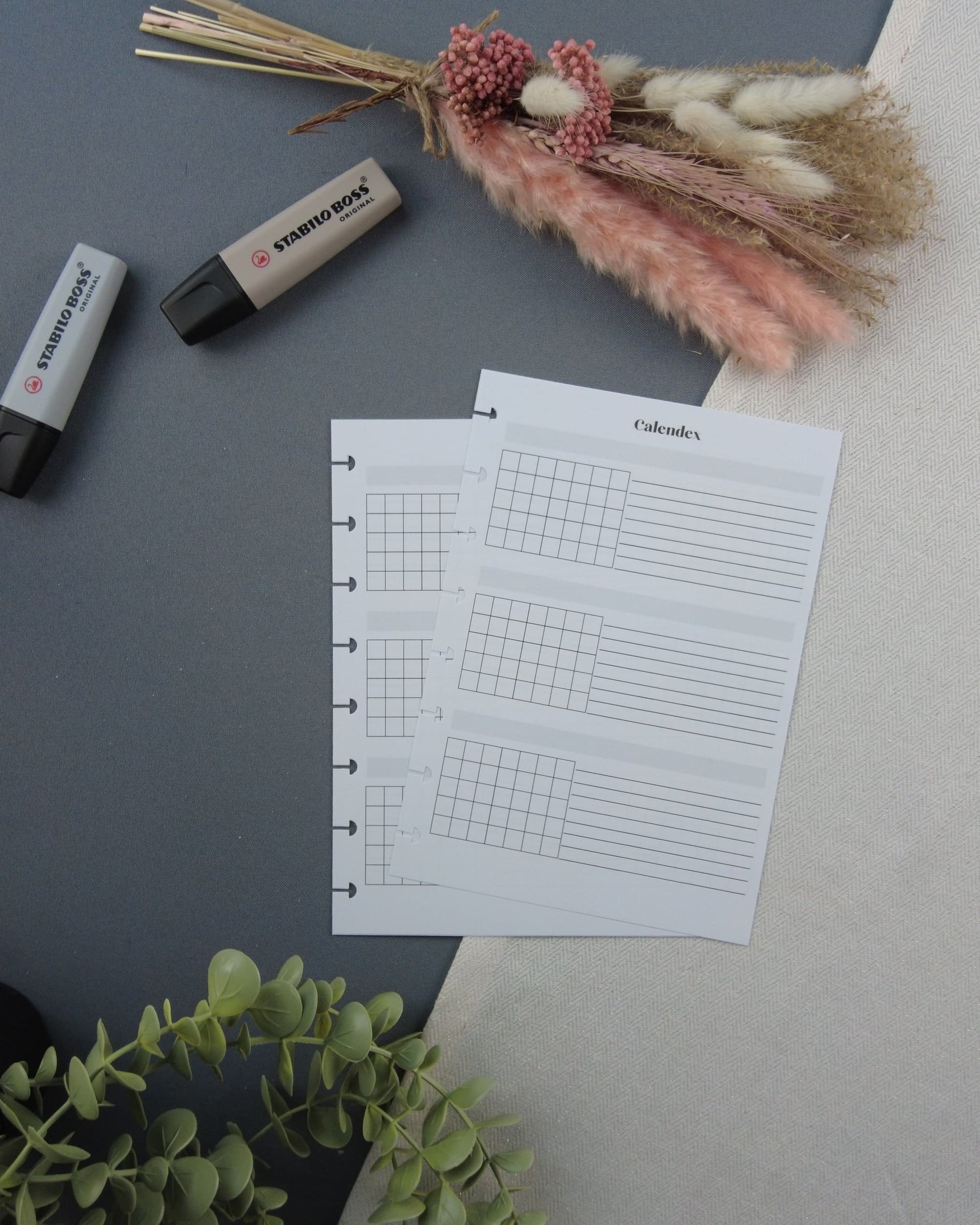 agendarechargeable-calendexperpetuel-vueannuelleagenda-agendaperpertuel-lapapeteriedemarie.7