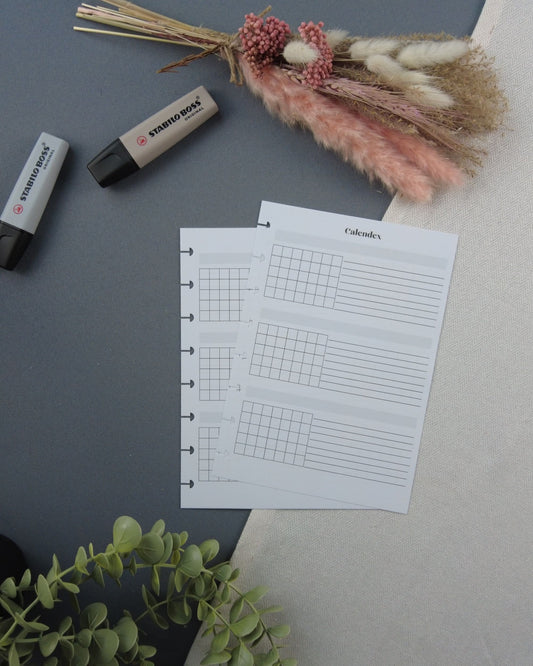 agendarechargeable-calendexperpetuel-vueannuelleagenda-agendaperpertuel-lapapeteriedemarie.7