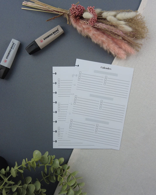 agendarechargeable-calendexperpetuel-vueannuelleagenda-agendaperpertuel-lapapeteriedemarie.8