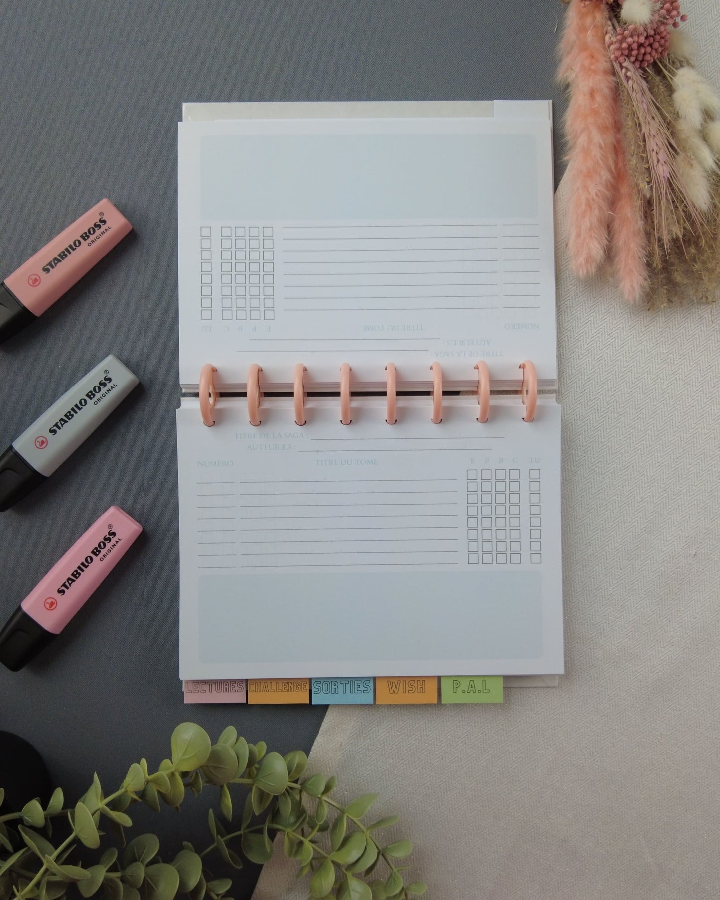 carnetdelecture-carnetlecture-carnetlecturerechargeable-lapapeteriedemarie.14