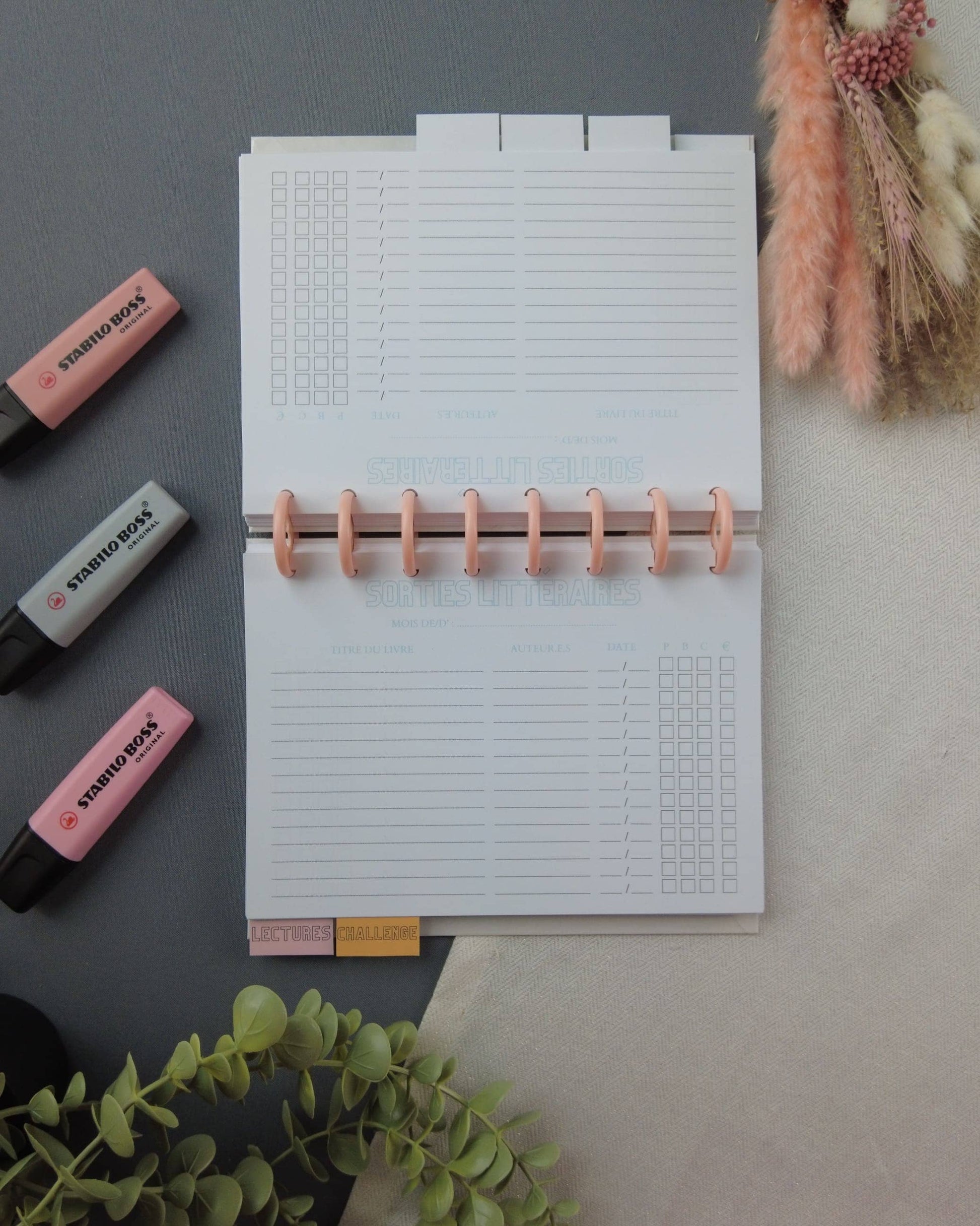 carnetdelecture-carnetlecture-carnetlecturerechargeable-lapapeteriedemarie.29