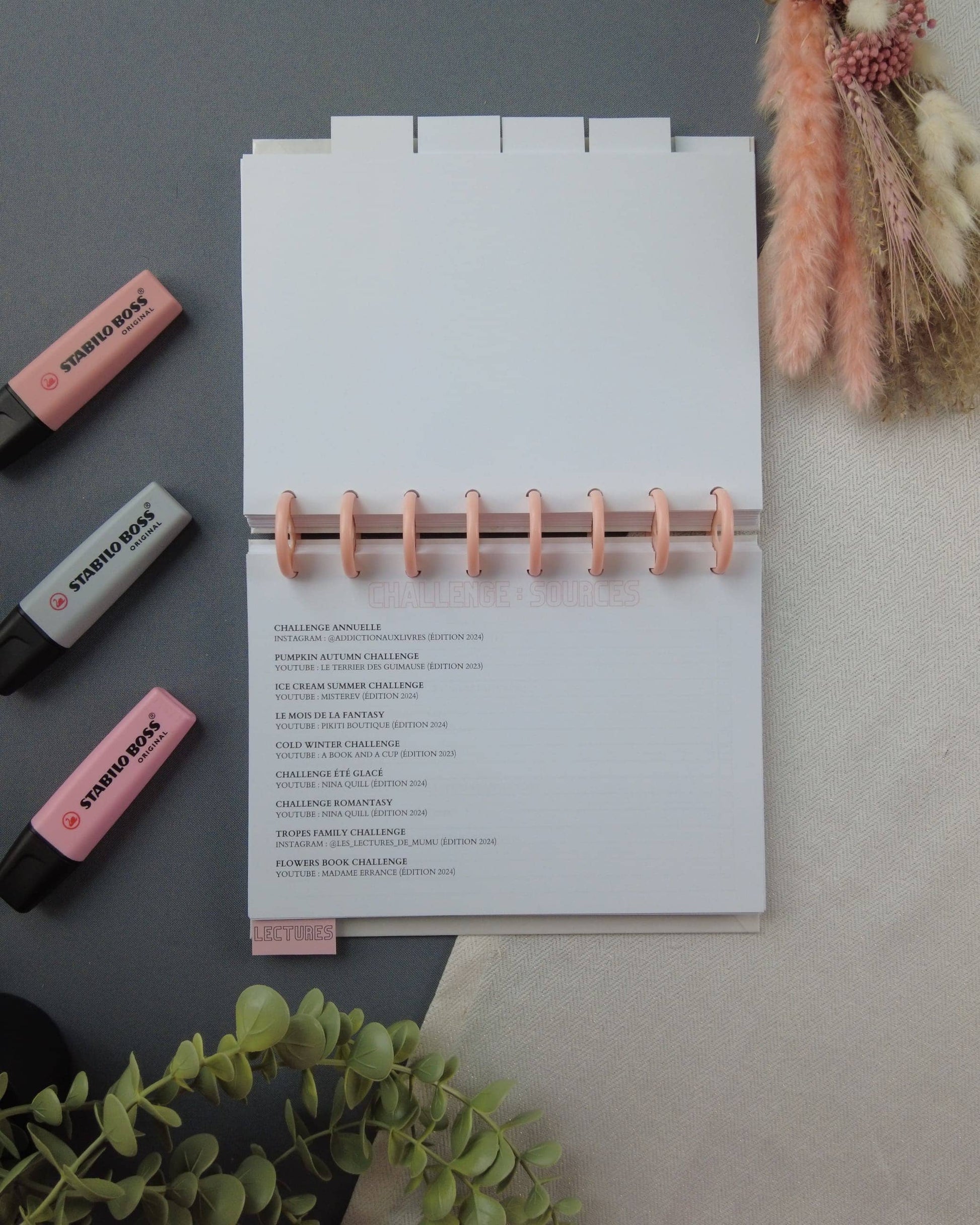 carnetdelecture-carnetlecture-carnetlecturerechargeable-lapapeteriedemarie.31