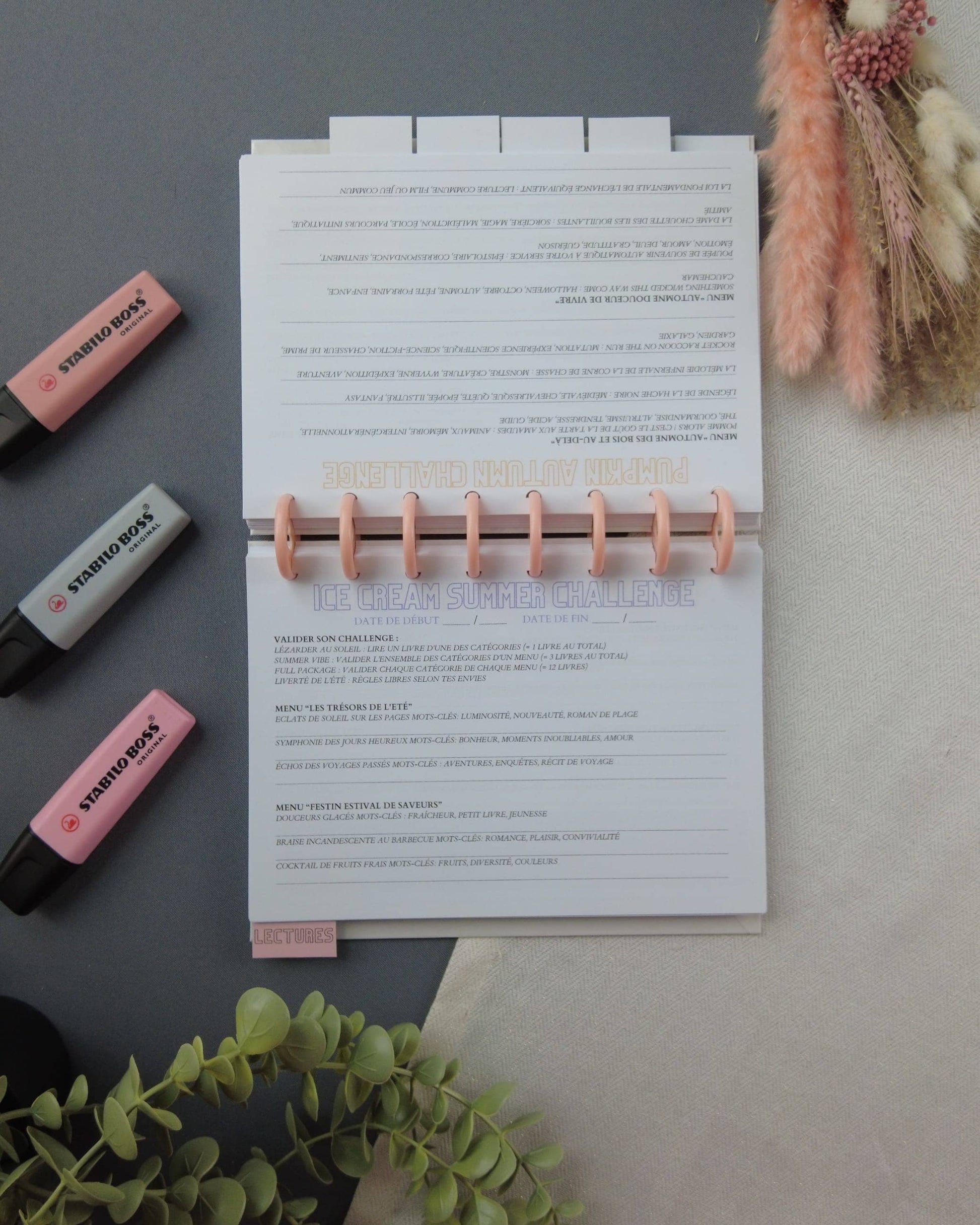 carnetdelecture-carnetlecture-carnetlecturerechargeable-lapapeteriedemarie.34