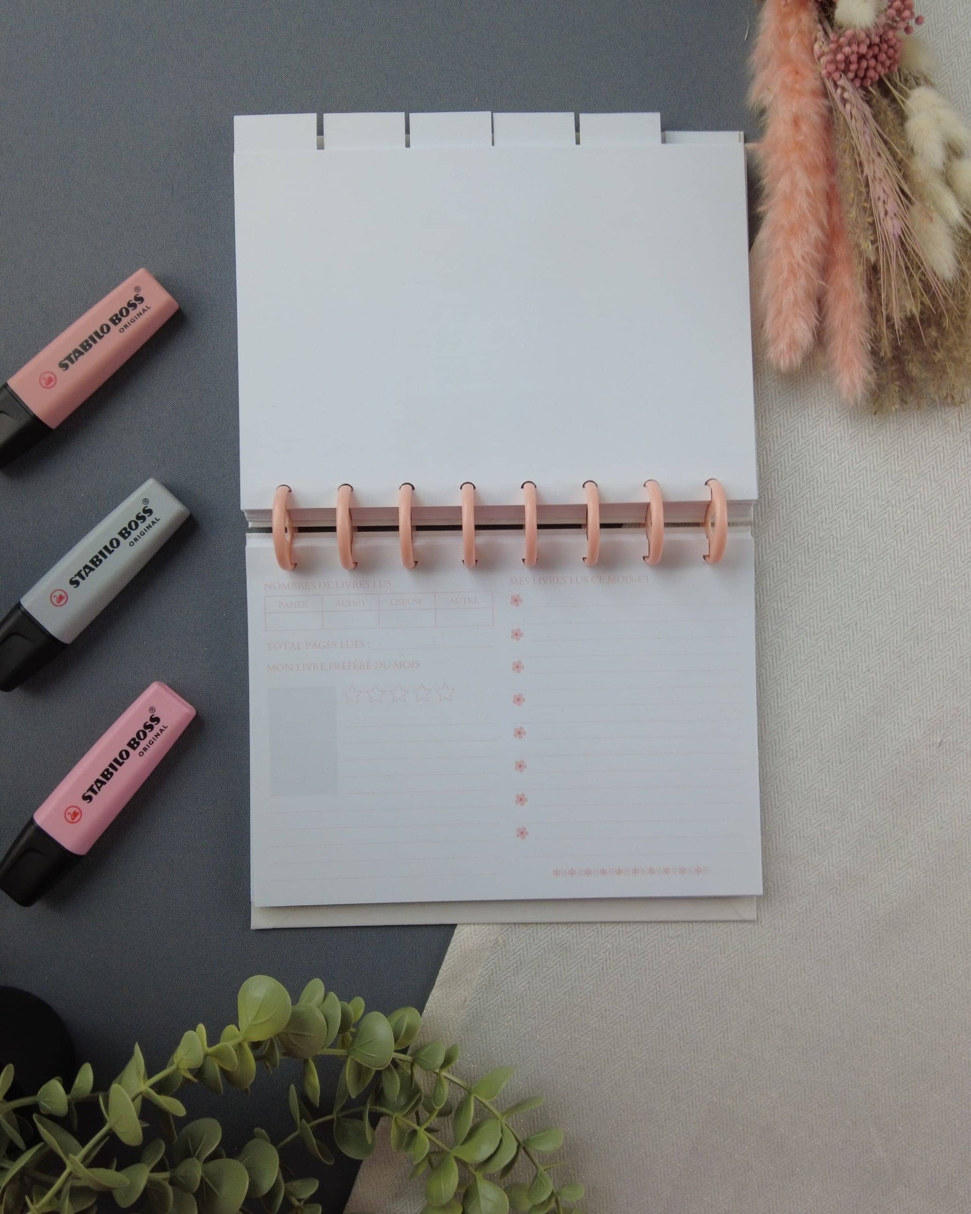 carnetdelecture-carnetlecture-carnetlecturerechargeable-lapapeteriedemarie.50