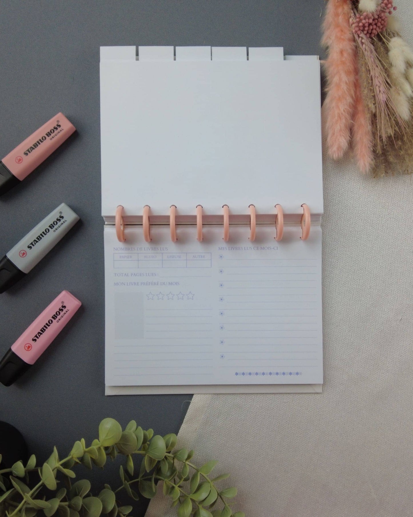 carnetdelecture-carnetlecture-carnetlecturerechargeable-lapapeteriedemarie.51