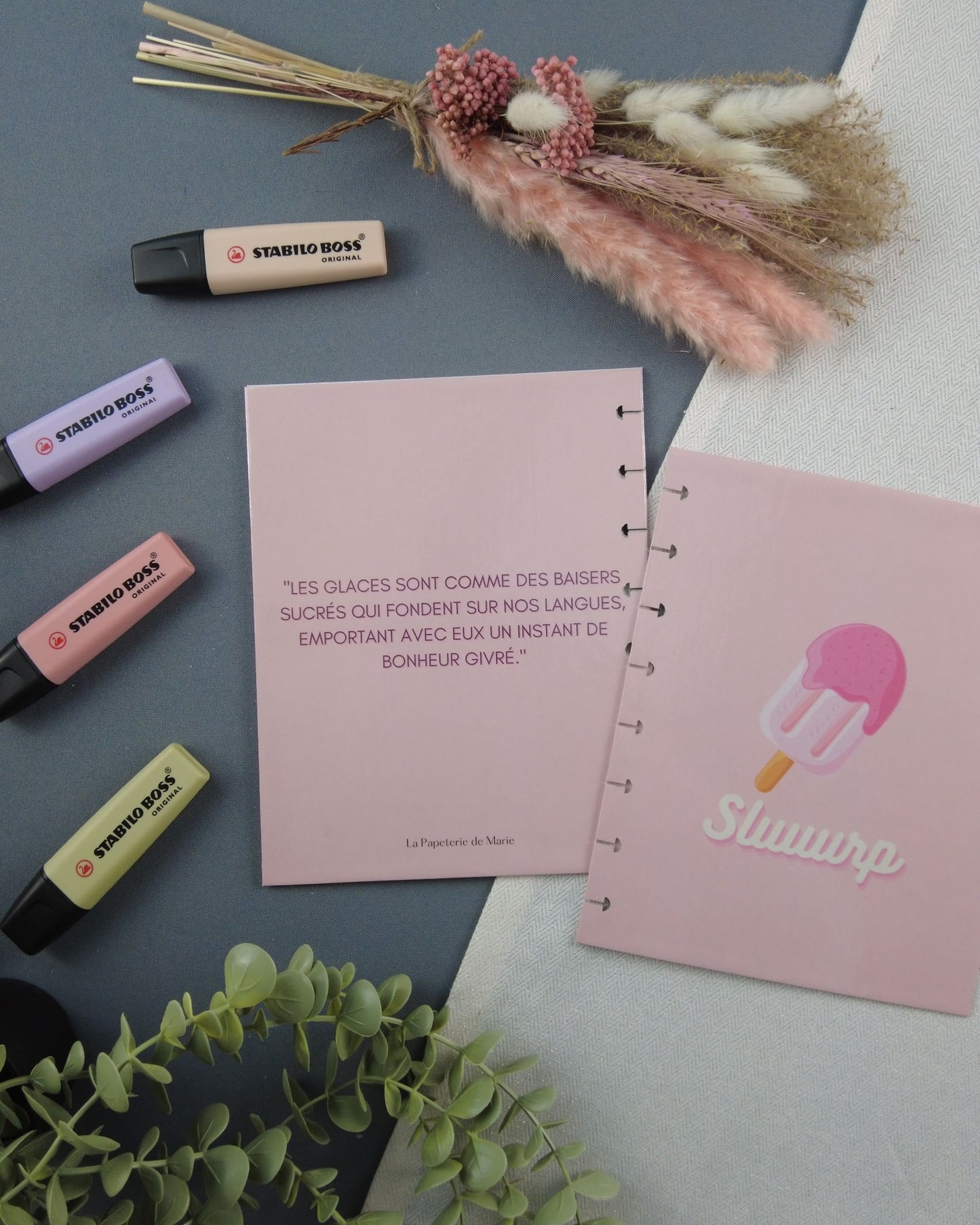 glace-carnetrechargeable-couvertureatoma-lapapeteriedemarie.2