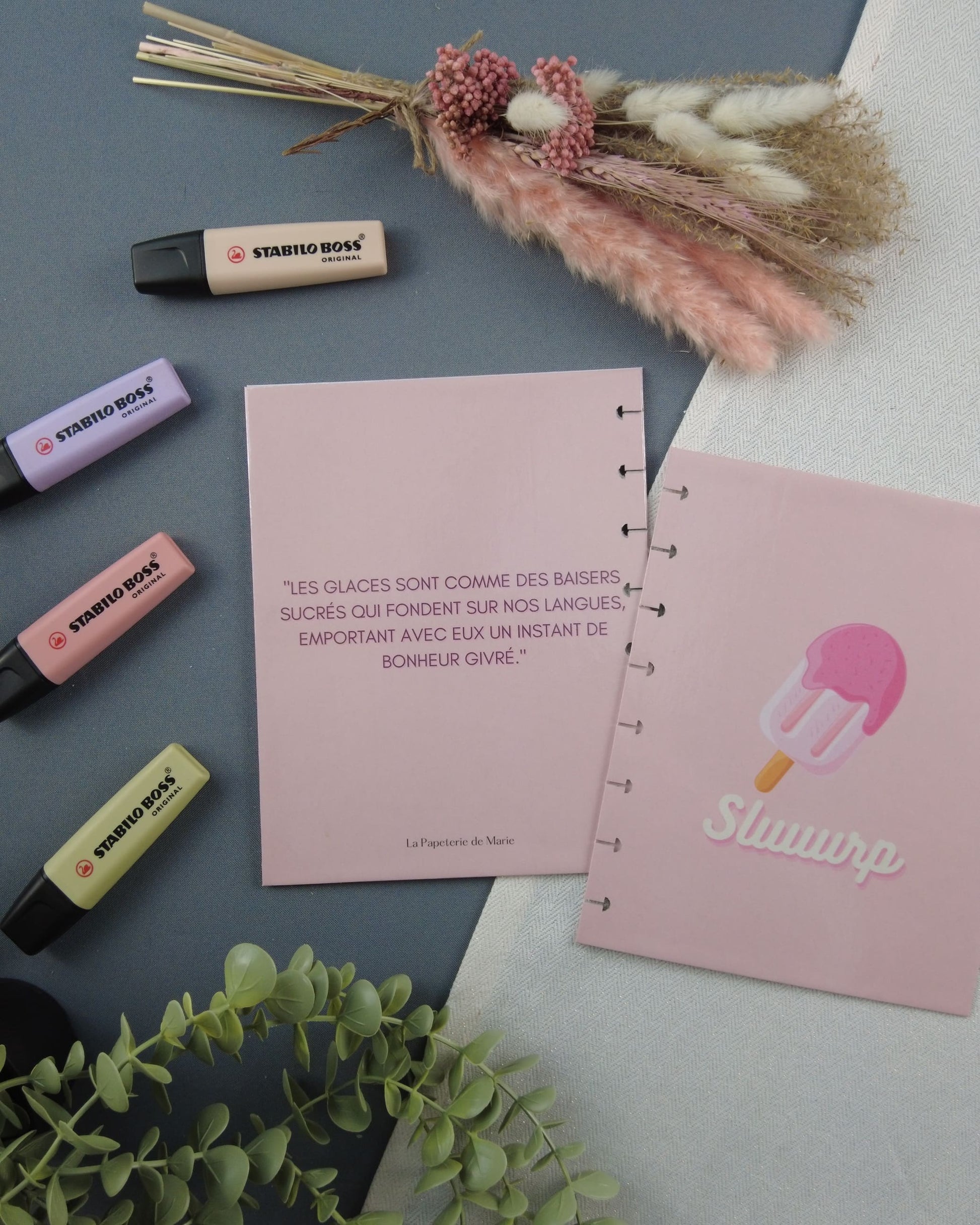 glace-carnetrechargeable-couvertureatoma-lapapeteriedemarie.2