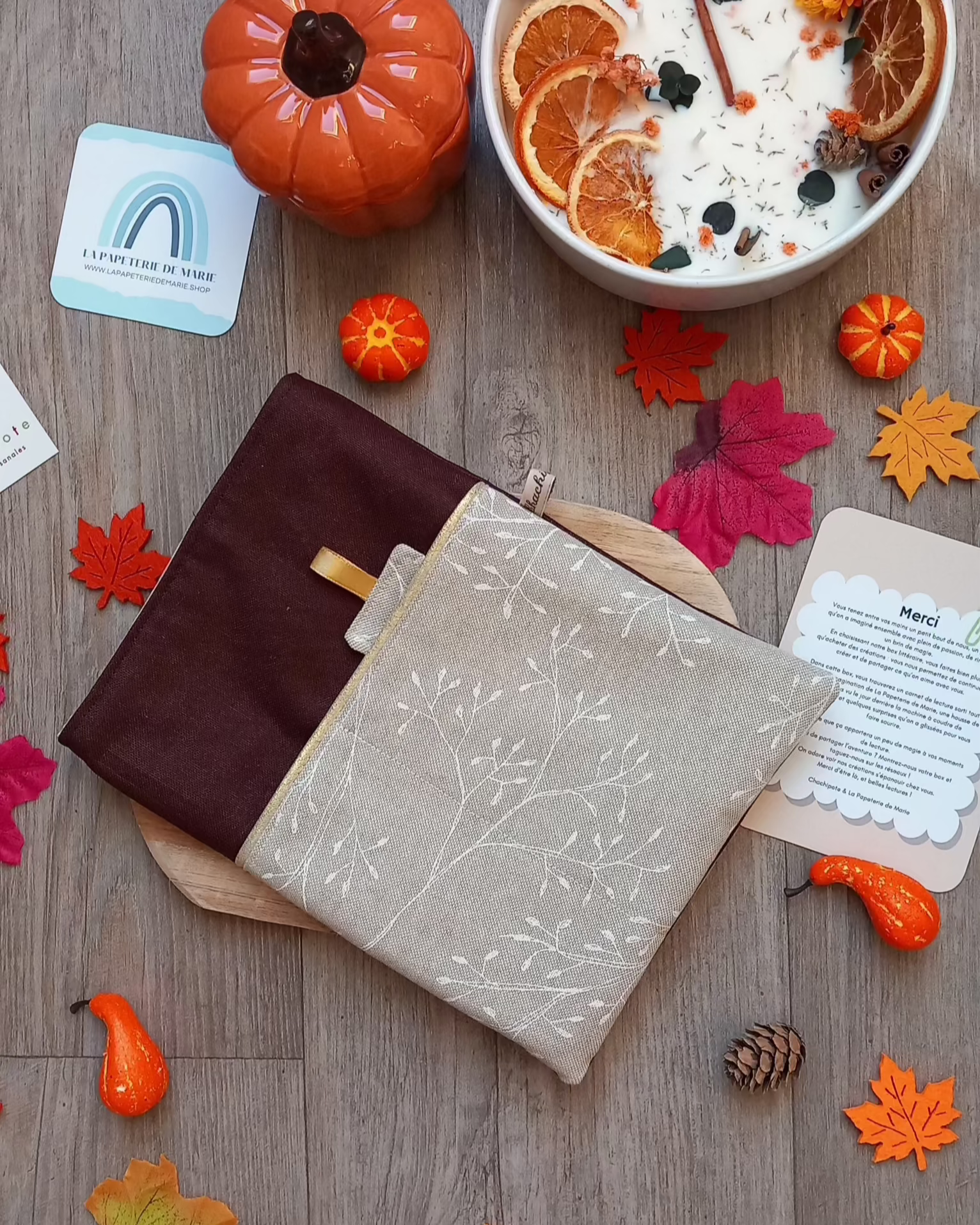 lapapeteriedemarie-carnetdelecture-boxlitteraire-boxcocooning-chachipote-housedelivre-ideecadeaulecture-ideecadeau.1