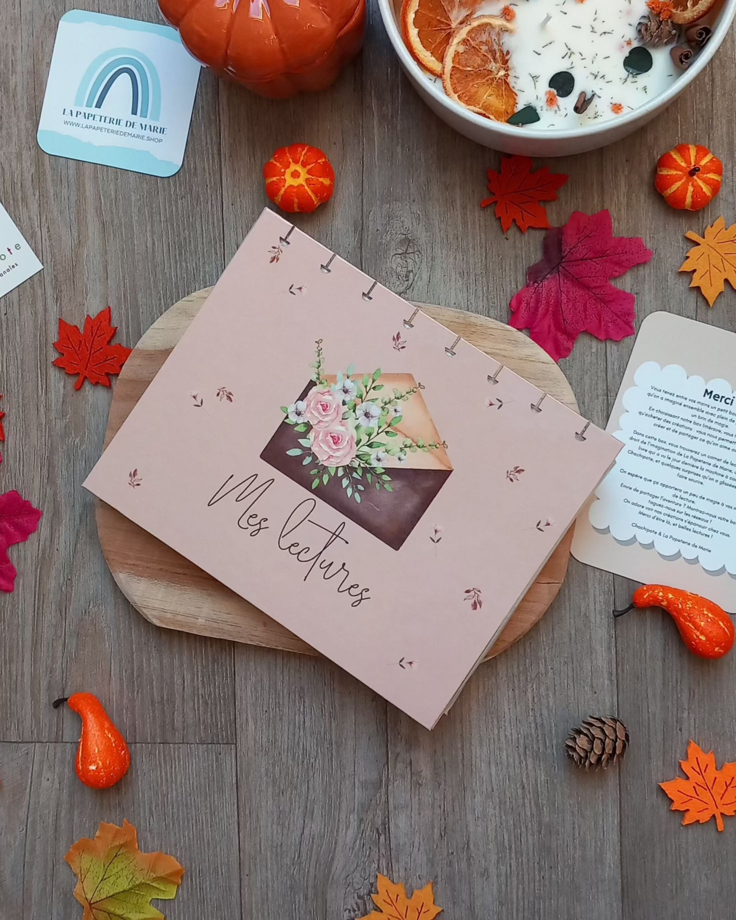 lapapeteriedemarie-carnetdelecture-boxlitteraire-boxcocooning-chachipote-housedelivre-ideecadeaulecture-ideecadeau.2