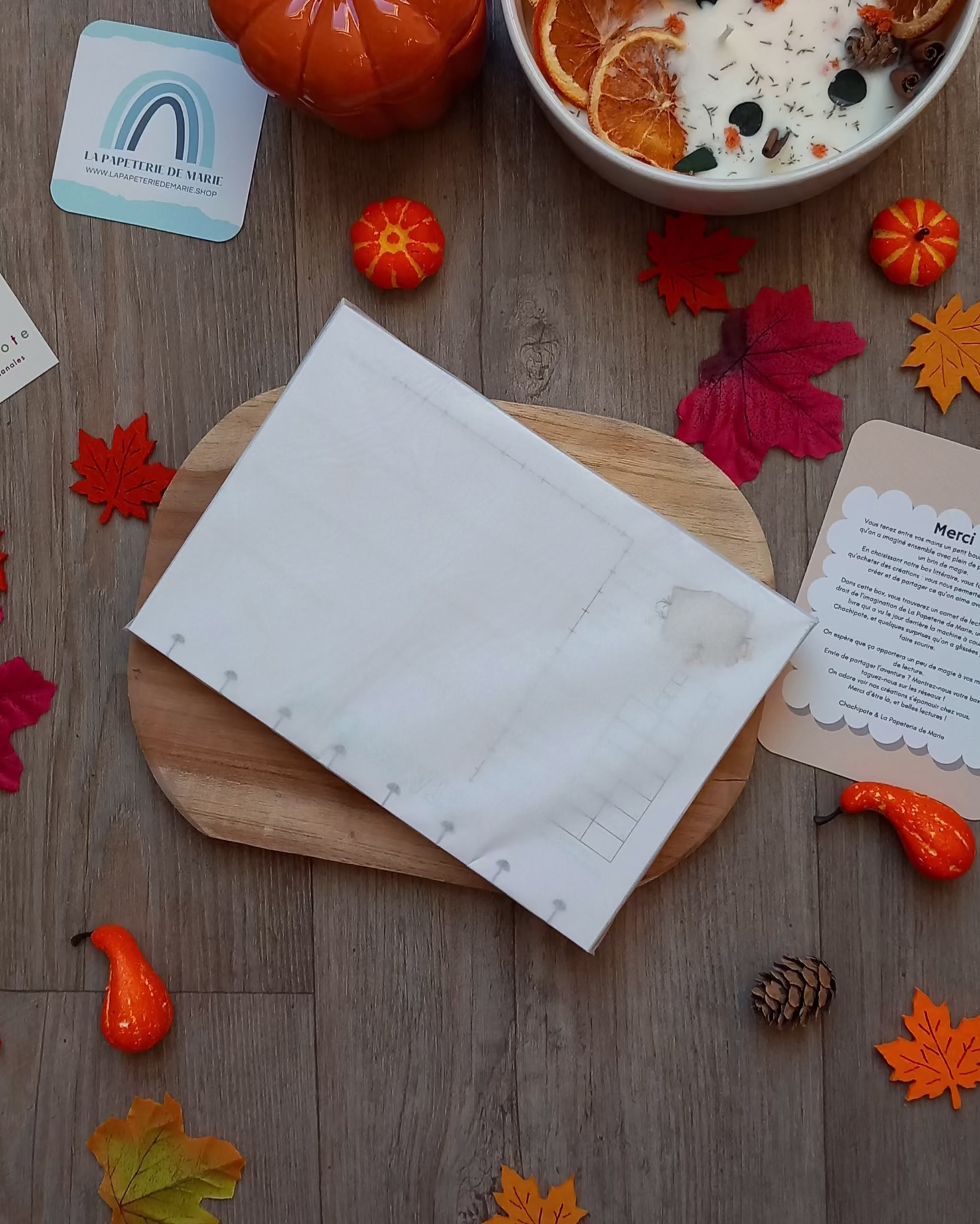 lapapeteriedemarie-carnetdelecture-boxlitteraire-boxcocooning-chachipote-housedelivre-ideecadeaulecture-ideecadeau.4