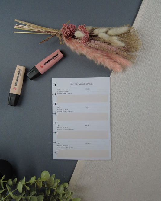 mailing-organisationmailing-organisationnewsletter-lapapeteriedemarie.1