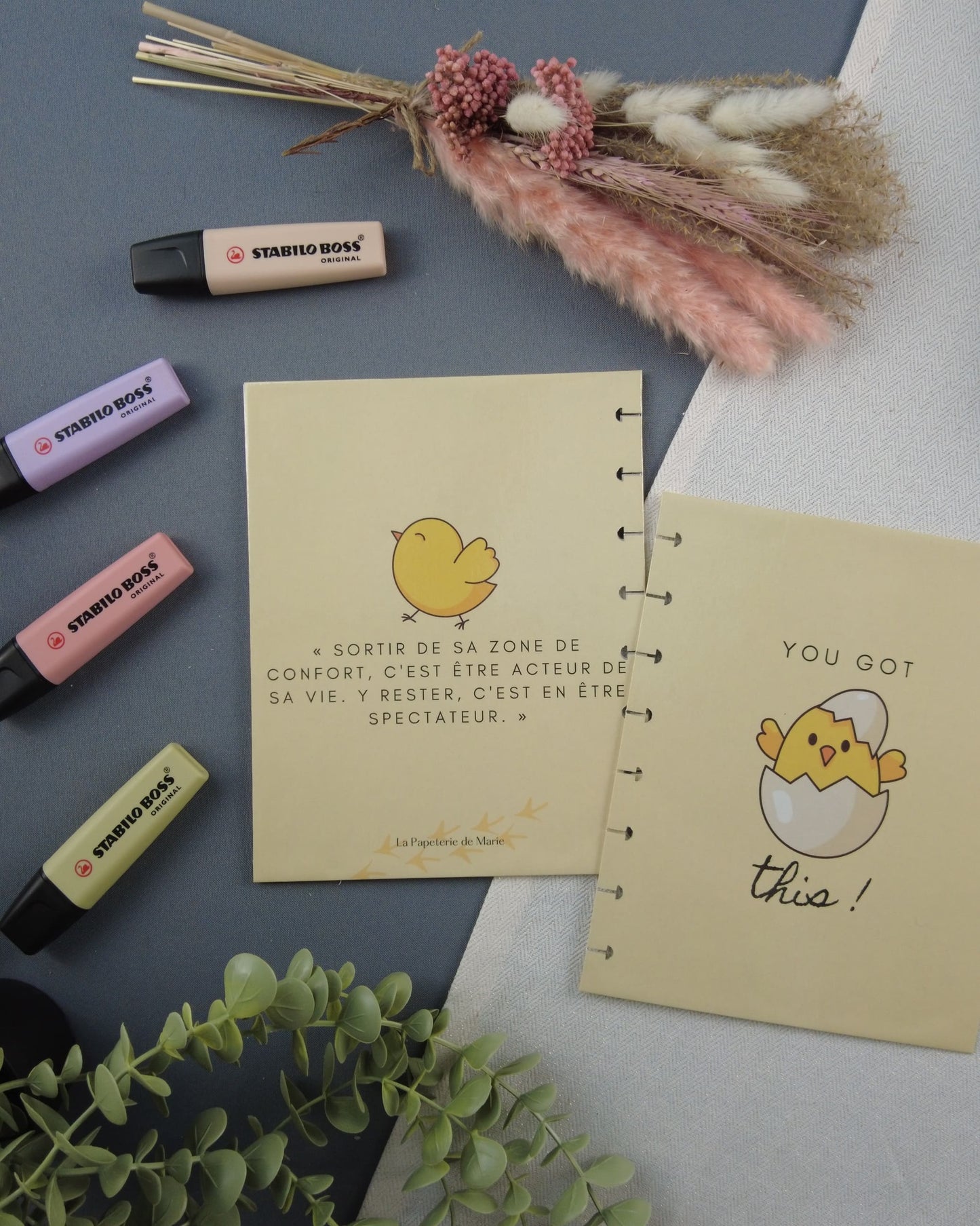 poussin-carnetrechargeable-couvertureatoma-lapapeteriedemarie.2