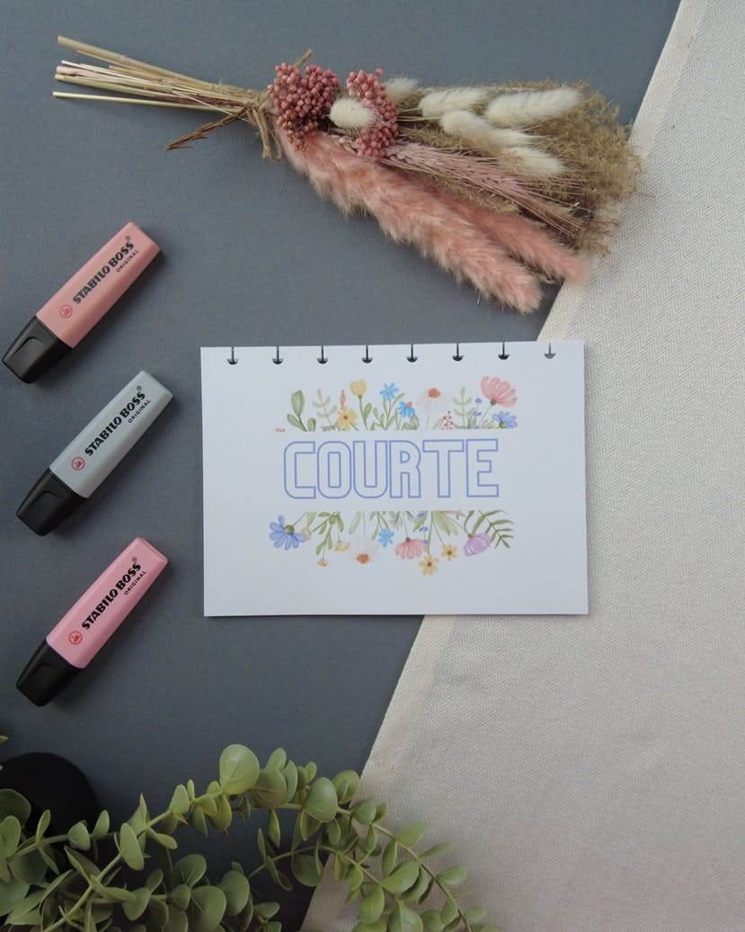 sagacourte-carnetlecturerechargeable-lapapeteriedemarie.1