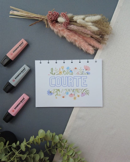 sagacourte-carnetlecturerechargeable-lapapeteriedemarie.1