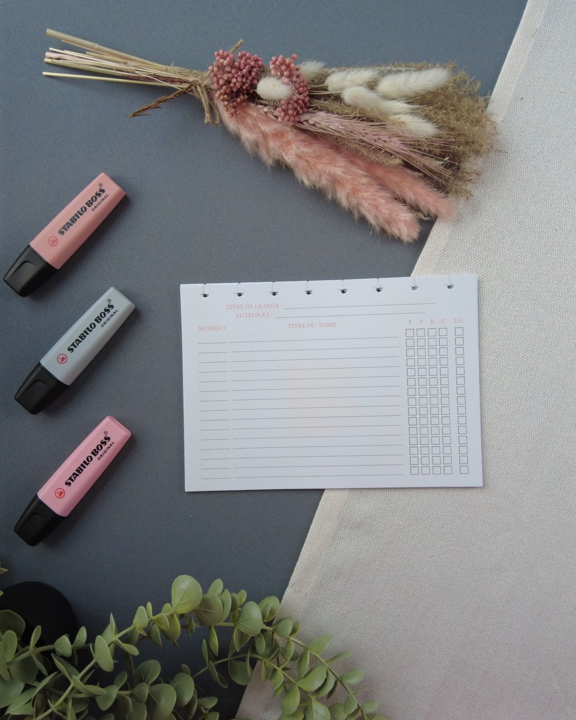 sagalongue-carnetlecturerechargeable-lapapeteriedemarie.3